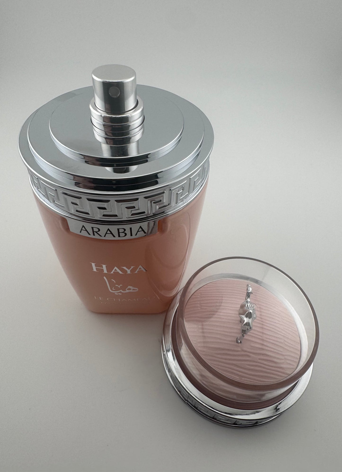HAYA by Le Chameau – Eau de Parfum 100ml (3.4 fl. oz)