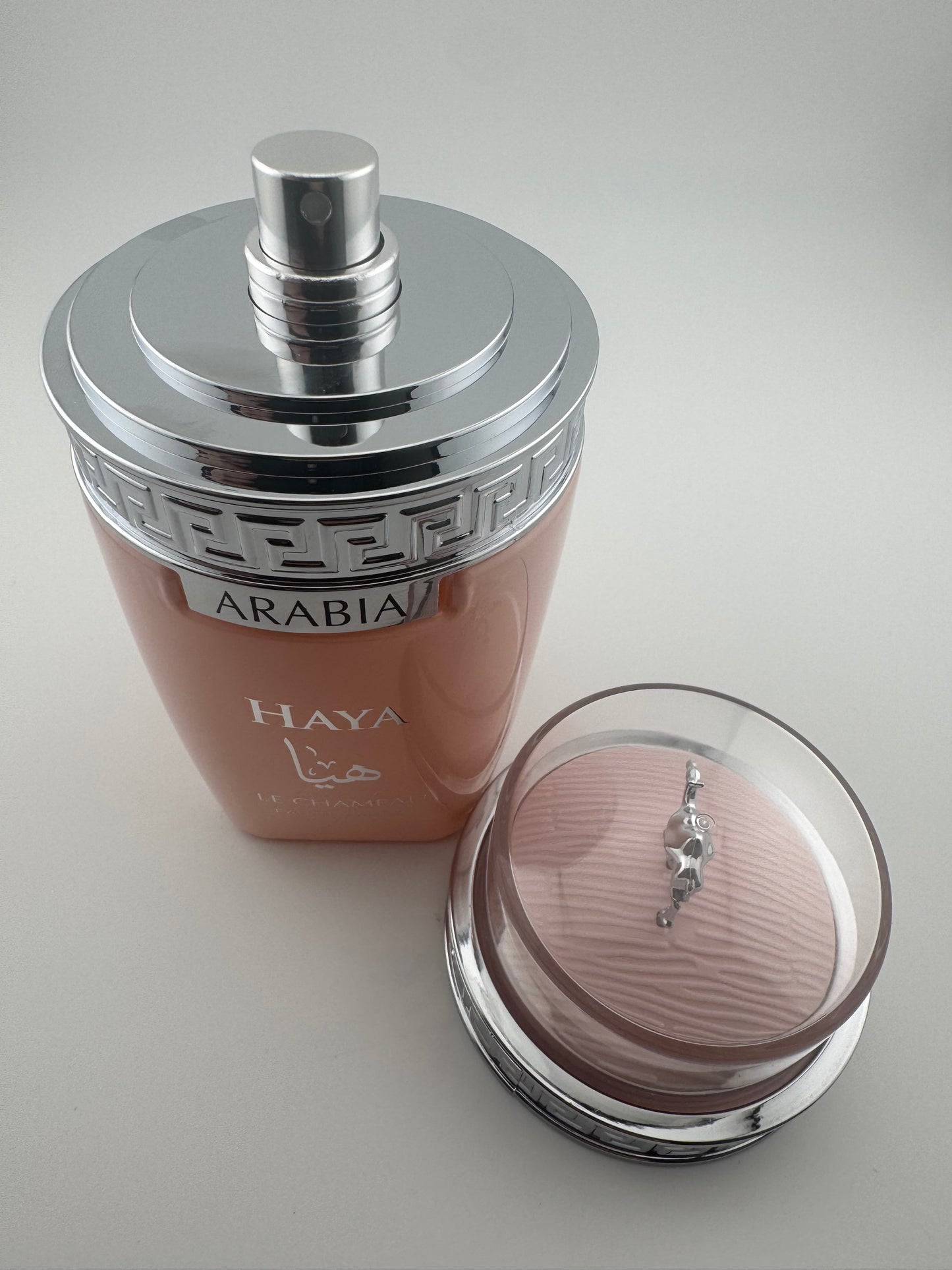 HAYA by Le Chameau – Eau de Parfum 100ml (3.4 fl. oz)